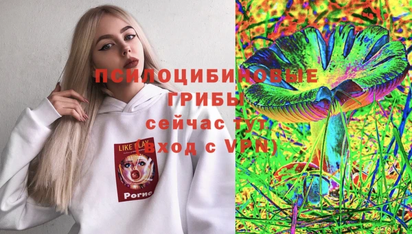 гидропоника Алексин