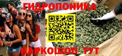 гидра Кандалакша