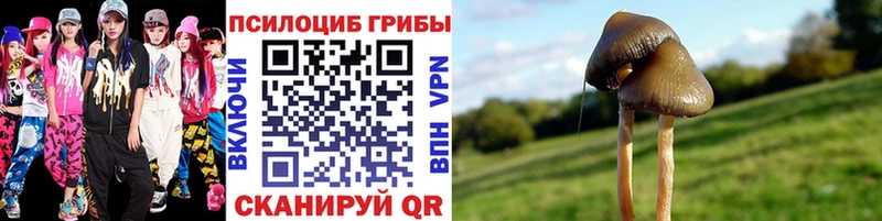 Псилоцибиновые грибы ЛСД  kraken   Лесной  где можно купить  