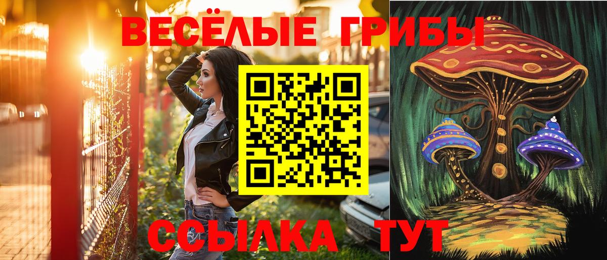 Лесной  Галлюциногенные грибы мухоморы  Галлюциногенные грибы мухоморы  Вход с VPN 